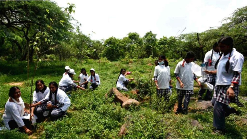 Environment Program 1
