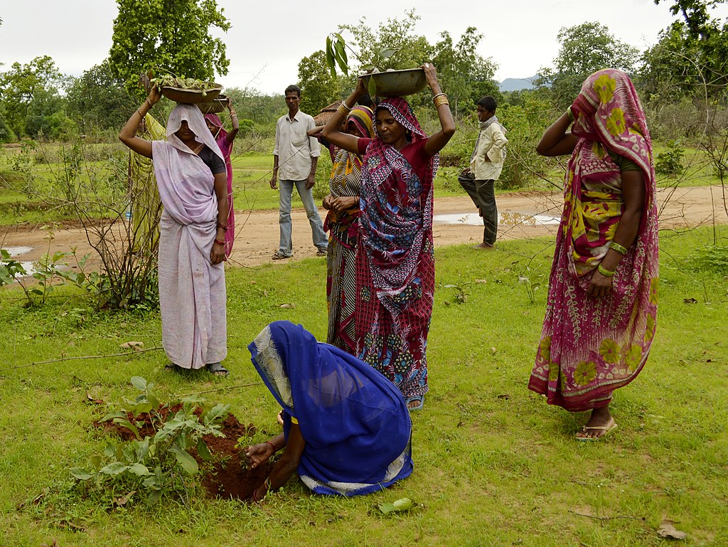 Environment Program 2